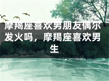 摩羯座喜欢男朋友偶尔发火吗,摩羯座喜欢男生