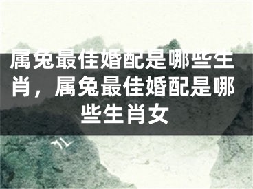 属兔最佳婚配是哪些生肖,属兔最佳婚配是哪些生肖女