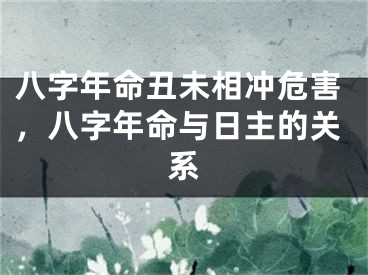 八字年命丑未相冲危害,八字年命与日主的关系