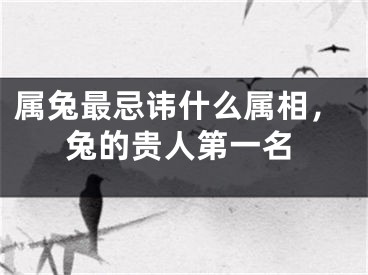 属兔最忌讳什么属相,兔的贵人第一名