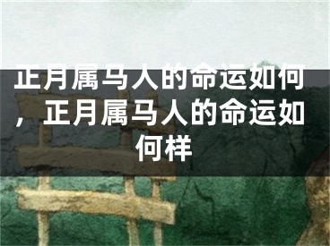 正月属马人的命运如何,正月属马人的命运如何样