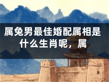 属兔男最佳婚配属相是什么生肖呢,属