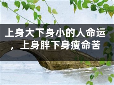 上身大下身小的人命运,上身胖下身瘦命苦
