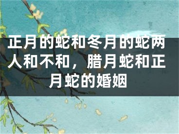 正月的蛇和冬月的蛇两人和不和,腊月蛇和正月蛇的婚姻