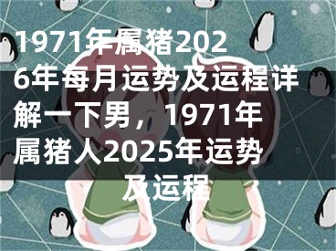 1971年属猪2026年每月运势及运程详解一下男,1971年属猪人2025年运势及运程