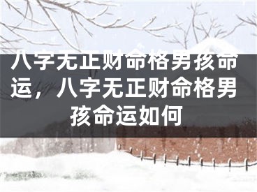 八字无正财命格男孩命运，八字无正财命格男孩命运如何