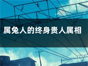属兔人的终身贵人属相