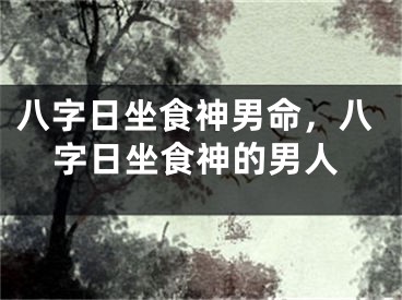 八字日坐食神男命,八字日坐食神的男人