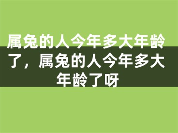 属兔的人今年多大年龄了,属兔的人今年多大年龄了呀
