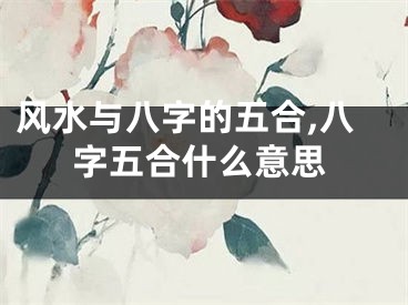 风水与八字的五合,八字五合什么意思