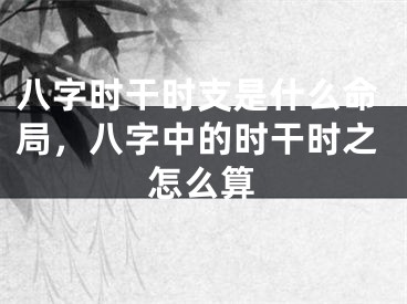 八字时干时支是什么命局，八字中的时干时之怎么算