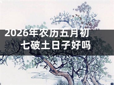 2026年农历五月初七破土日子好吗