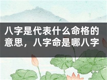 八字是代表什么命格的意思,八字命是哪八字