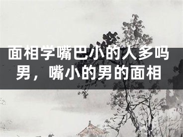 面相学嘴巴小的人多吗男,嘴小的男的面相