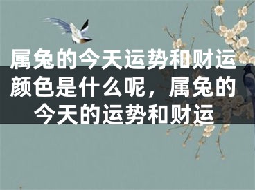 属兔的今天运势和财运颜色是什么呢，属兔的今天的运势和财运