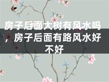 房子后面大树有风水吗，房子后面有路风水好不好