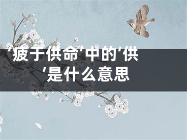 ‘疲于供命’中的‘供’是什么意思