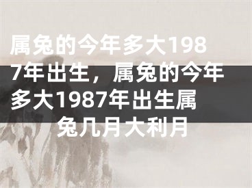 属兔的今年多大1987年出生,属兔的今年多大1987年出生属兔几月大利月