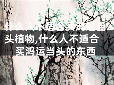 什么人不适合买鸿运当头植物,什么人不适合买鸿运当头的东西