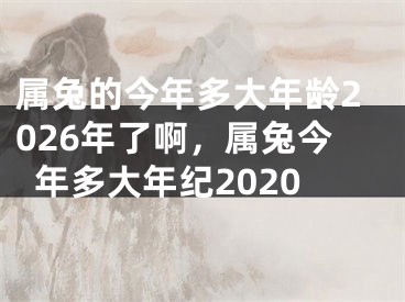 属兔的今年多大年龄2026年了啊，属兔今年多大年纪2020