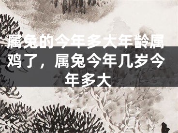 属兔的今年多大年龄属鸡了,属兔今年几岁今年多大