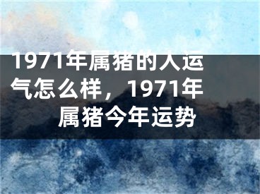 1971年属猪的人运气怎么样,1971年属猪今年运势