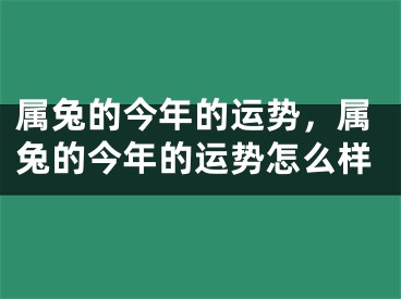 属兔的今年的运势，属兔的今年的运势怎么样