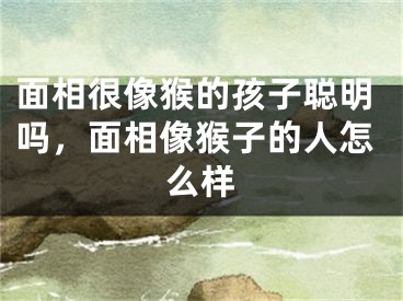 面相很像猴的孩子聪明吗,面相像猴子的人怎么样