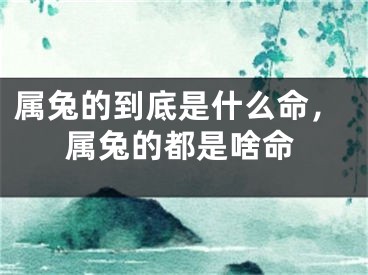 属兔的到底是什么命,属兔的都是啥命
