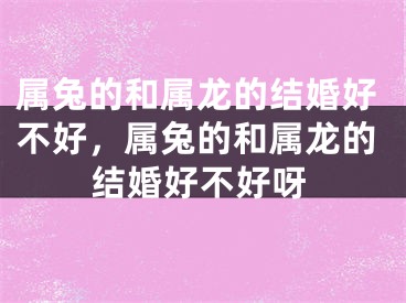 属兔的和属龙的结婚好不好,属兔的和属龙的结婚好不好呀
