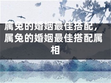 属兔的婚姻最佳搭配，属兔的婚姻最佳搭配属相
