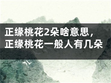 正缘桃花2朵啥意思,正缘桃花一般人有几朵