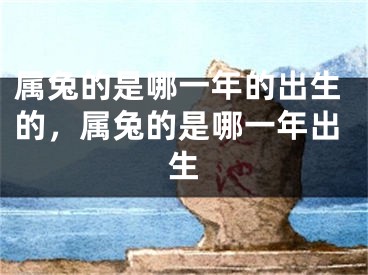 属兔的是哪一年的出生的,属兔的是哪一年出生