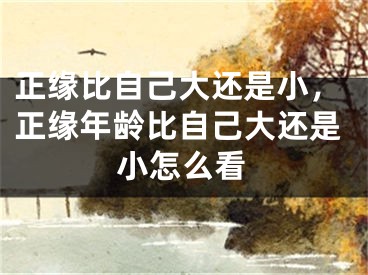 正缘比自己大还是小,正缘年龄比自己大还是小怎么看