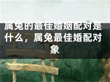属兔的最佳婚姻配对是什么,属兔最佳婚配对象