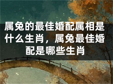 属兔的最佳婚配属相是什么生肖,属兔最佳婚配是哪些生肖