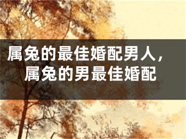 属兔的最佳婚配男人,属兔的男最佳婚配