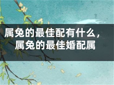 属兔的最佳配有什么，属兔的最佳婚配属