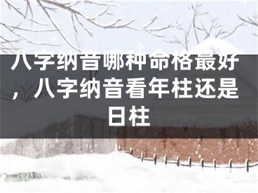 八字纳音哪种命格最好，八字纳音看年柱还是日柱