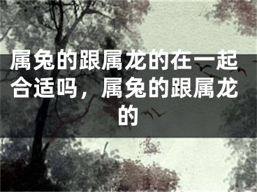 属兔的跟属龙的在一起合适吗，属兔的跟属龙的