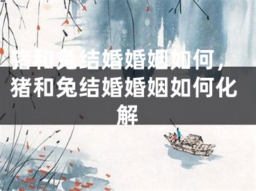 猪和兔结婚婚姻如何，猪和兔结婚婚姻如何化解