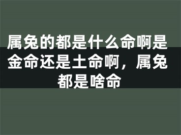 属兔的都是什么命啊是金命还是土命啊,属兔都是啥命