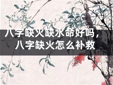 八字缺火缺水命好吗，八字缺火怎么补救