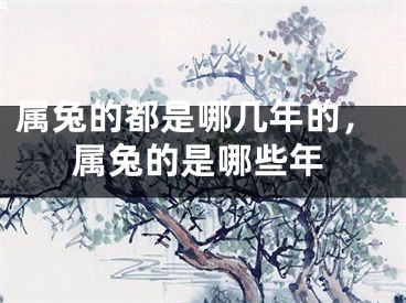 属兔的都是哪几年的,属兔的是哪些年