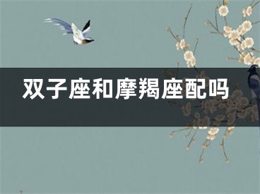 双子座和摩羯座配吗