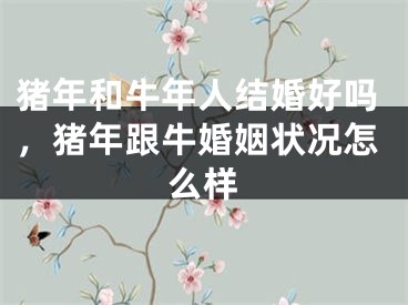 猪年和牛年人结婚好吗,猪年跟牛婚姻状况怎么样