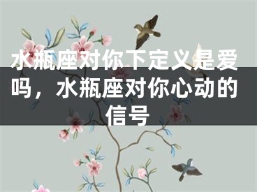 水瓶座对你下定义是爱吗，水瓶座对你心动的信号