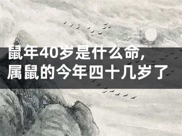 鼠年40岁是什么命,属鼠的今年四十几岁了