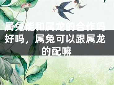 属兔能和属龙的合作吗好吗，属兔可以跟属龙的配嘛