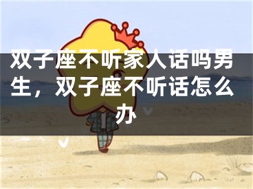 双子座不听家人话吗男生,双子座不听话怎么办